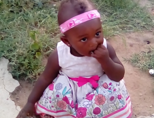 Looking to be Inspired? Watch ‘The Beginning of Life’
